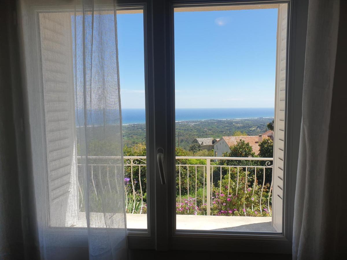 Appartement A Caserella Entierement Renove Avec Terrasse Et Vue Panoramique Sur Mer Valle-di-Campoloro Exterior photo