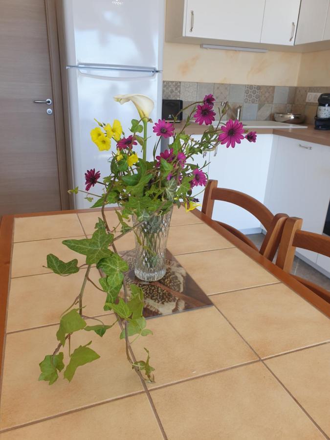 Appartement A Caserella Entierement Renove Avec Terrasse Et Vue Panoramique Sur Mer Valle-di-Campoloro Exterior photo